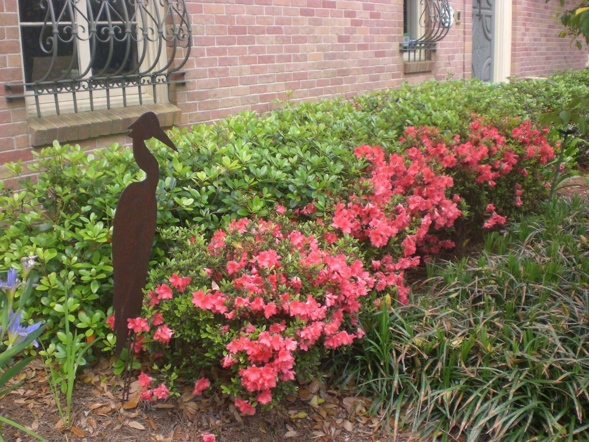The Stockade Bed And Breakfast バトンルージュ エクステリア 写真